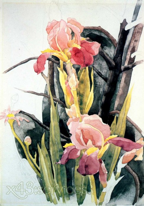 Charles Demuth - Blumen Schwertlilien - Flowers Irises
